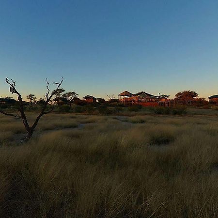 Suricate Tented Lodge Mariental Exterior photo