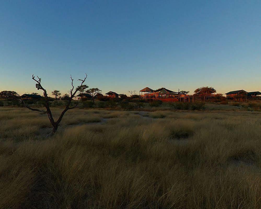 Suricate Tented Lodge Mariental Exterior photo